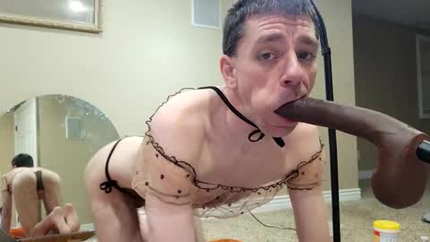 Snapshot of maxjr8008 chatting on December 2024 02:17:01 AM maxjr8008 online show from December 2024 02:17:01 AM