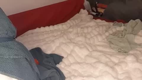 maybeanal online show from October 2025 05:06:01 AM