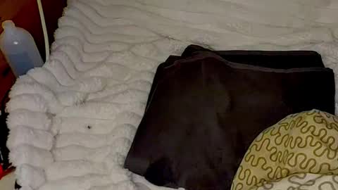 maybeanal online show from October 2025 02:02:05 AM