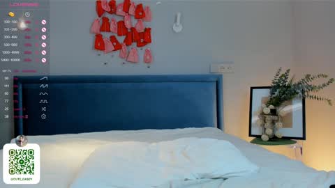 My name Casey  online show from January 2025 10:13:02 PM