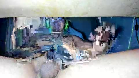 maykalvess online show from February 2025 09:58:01 PM