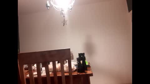 mccock16cm online show from February 2025 03:47:02 AM