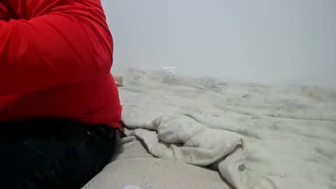 McFly online show from April 2026 02:27:02 AM