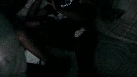 mdd2log online show from March 2026 09:25:01 AM