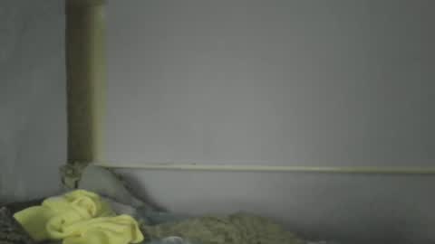 Oltereodora-lima online show from December 2024 01:14:01 PM