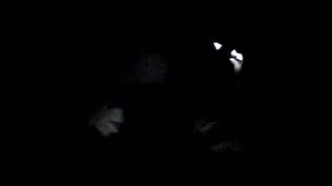 Oltereodora-lima online show from February 2025 07:07:01 PM