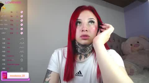 Snapshot of medusa_20 chatting on December 2024 08:48:01 AM Johana online show from December 2024 08:48:01 AM