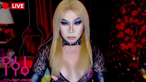 THE QUEEN ALPHA   Queen Medusa Prey online show from November 2025 07:07:02 PM