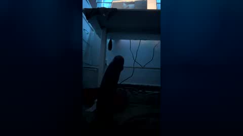 Snapshot of meep08 chatting on July 2026 08:07:02 AM meep08 online show from July 2026 08:07:02 AM
