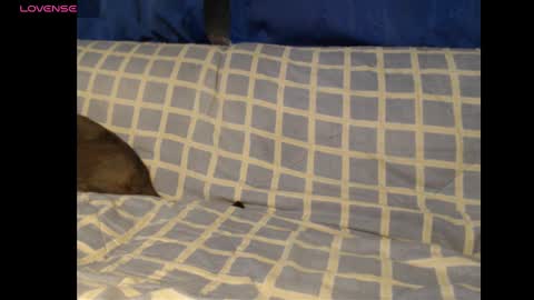 Meg4n Miauuuu online show from February 2025 02:01:02 AM