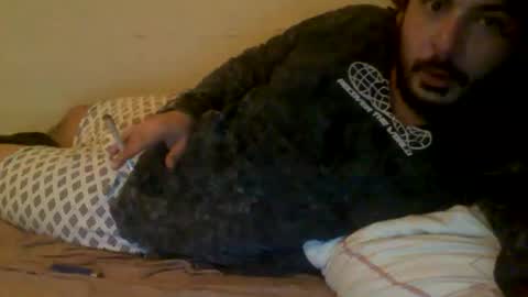 megamanp online show from January 2025 02:53:02 AM