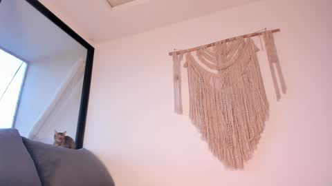 megan online show from January 2025 10:51:01 PM