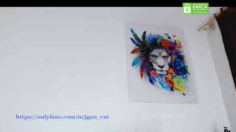 megan_cat online show from November 2025 12:23:02 PM