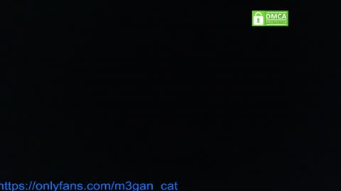 megan_cat online show from July 2026 05:19:01 PM