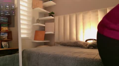     online show from October 2025 12:06:02 PM