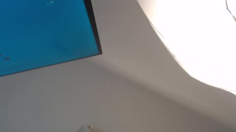 Megan online show from December 2024 09:35:01 PM