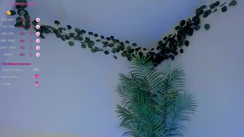 megancarlott_ online show from March 2025 05:31:02 AM