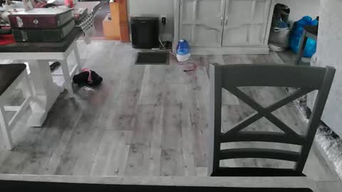 Snapshot of meganfitzy chatting on February 2025 10:42:01 PM GlamTransGoddess online show from February 2025 10:42:01 PM