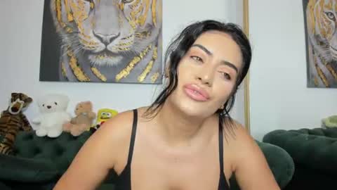 Snapshot of megpalmer chatting on June 2026 08:08:01 PM megpalmer online show from June 2026 08:08:01 PM