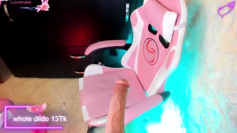 Snapshot of mei_millers chatting on January 2025 12:32:02 PM MELISSA online show from January 2025 12:32:02 PM