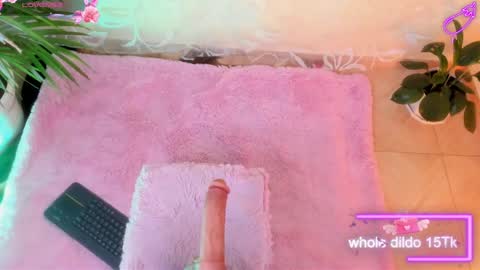 Snapshot of mei_millers chatting on February 2025 11:33:02 AM MELISSA online show from February 2025 11:33:02 AM