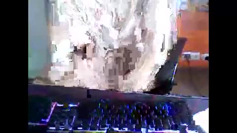 Snapshot of meks5544 chatting on April 2026 11:15:01 AM meks5544 online show from April 2026 11:15:01 AM