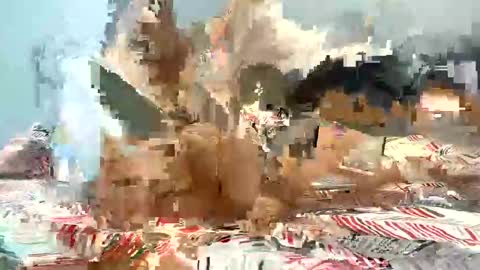 Snapshot of melahnie051002 chatting on December 2025 01:35:02 AM melahnie051002 online show from December 2025 01:35:02 AM