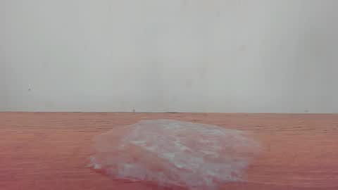 Melania online show from January 2026 12:31:02 PM