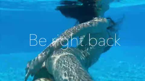 Adel online show from September 2025 02:50:01 PM