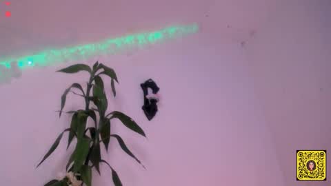 melissa online show from September 2025 01:56:02 PM