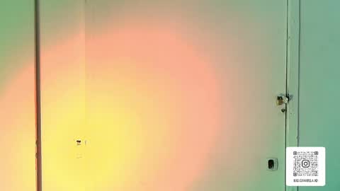 Snapshot of melissa_adamsxxx chatting on May 2026 07:19:01 PM Lissa online show from May 2026 07:19:01 PM