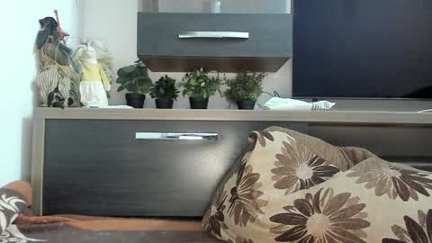 MellyMell  online show from January 2025 11:02:01 PM