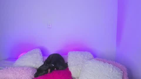    online show from February 2025 04:36:02 AM