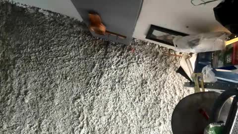 melodysnow online show from January 2026 05:49:02 PM