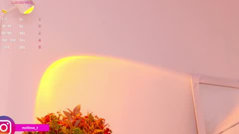 Melissa online show from January 2025 03:53:02 AM