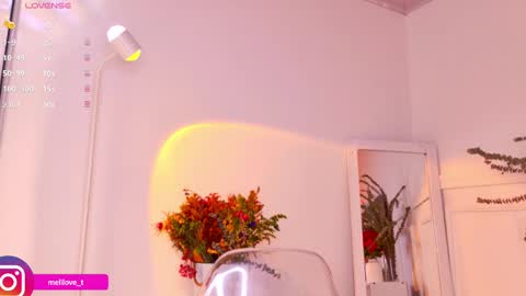 Melissa online show from January 2025 09:13:01 PM