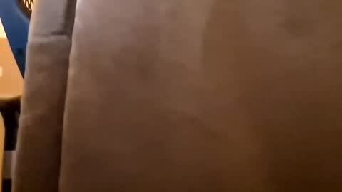 DutchFun Cock online show from January 2026 04:32:02 PM