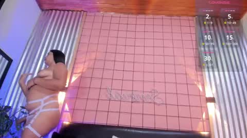 Snapshot of mensia_hernandez chatting on February 2025 01:39:02 PM Princess Mensia online show from February 2025 01:39:02 PM