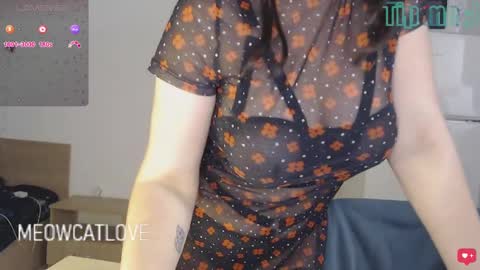 meowcatlove online show from December 2024 09:00:02 PM