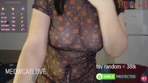 meowcatlove online show from January 2025 08:32:01 PM