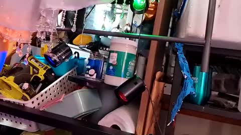 gurlnips online show from November 2025 06:25:02 AM