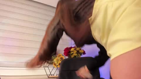 Merida  online show from March 2025 03:56:01 PM