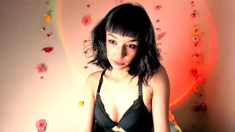 Diane 3 online show from January 2025 07:08:01 AM