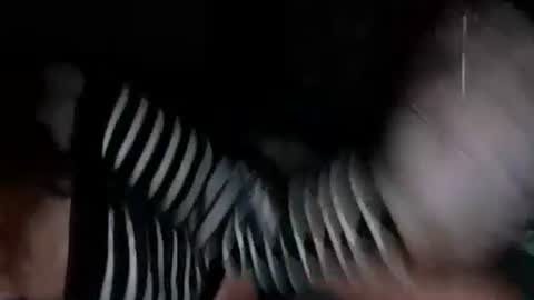 mermaidonland25 online show from October 2025 11:35:02 PM