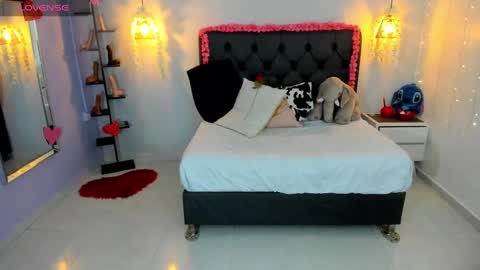 Snapshot of meylagia chatting on February 2025 03:13:01 AM meylagia online show from February 2025 03:13:01 AM