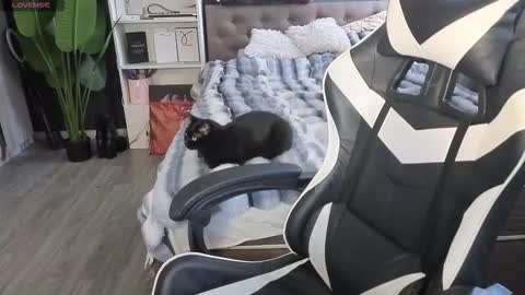 vollmond online show from February 2026 05:36:01 AM