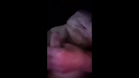 mhidupont online show from April 2026 10:09:01 AM