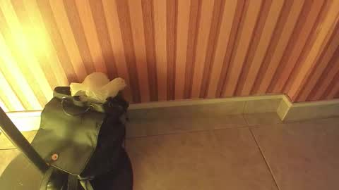 Snapshot of mia__blaze_ chatting on February 2026 03:00:02 AM mia__blaze_ online show from February 2026 03:00:02 AM