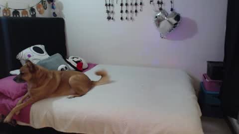 mia online show from February 2026 10:59:02 PM