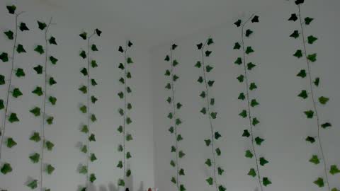 MIA online show from January 2026 10:24:01 PM